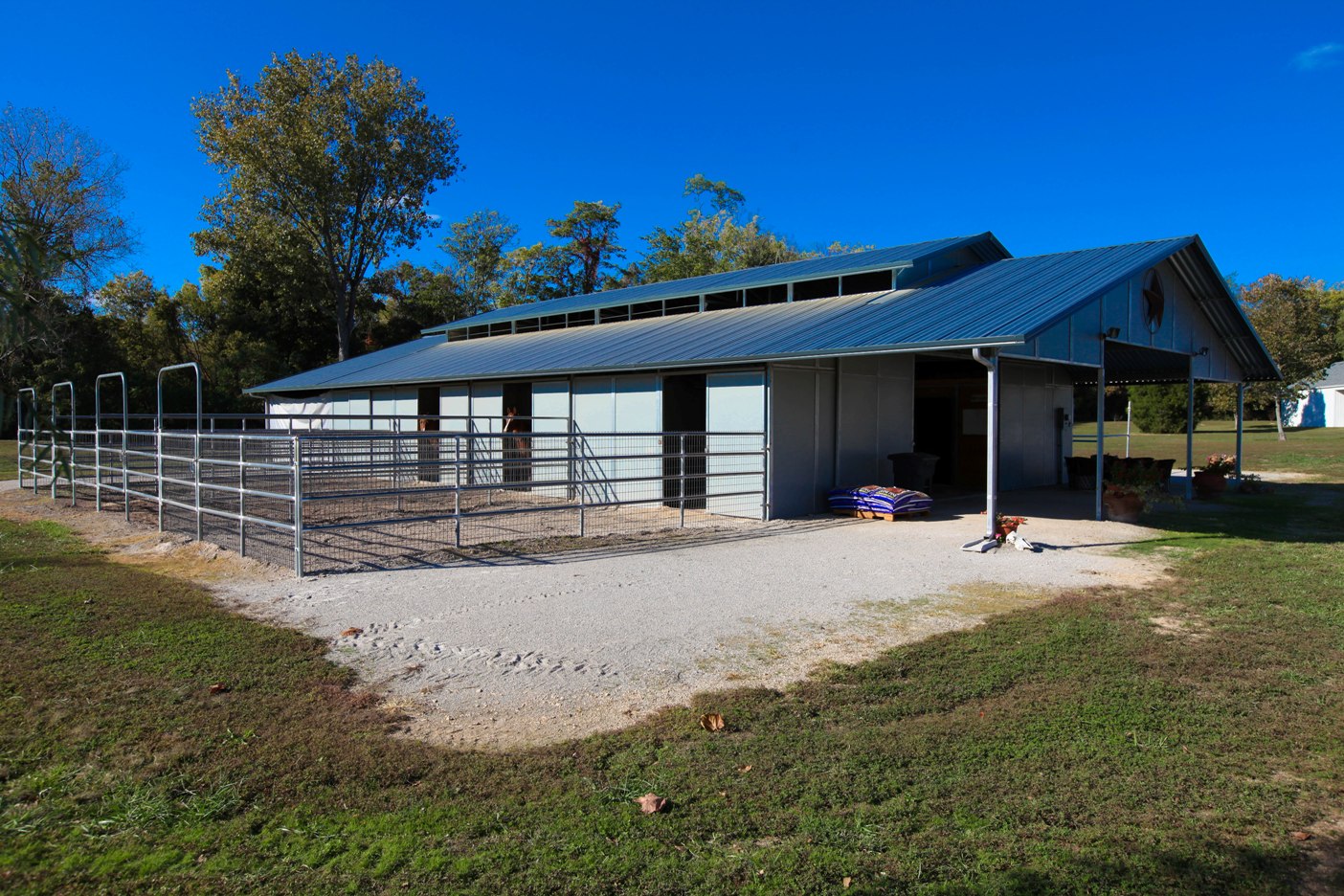 Tennessee Horse Farms for Sale | Tennessee Horse Farms for Sale